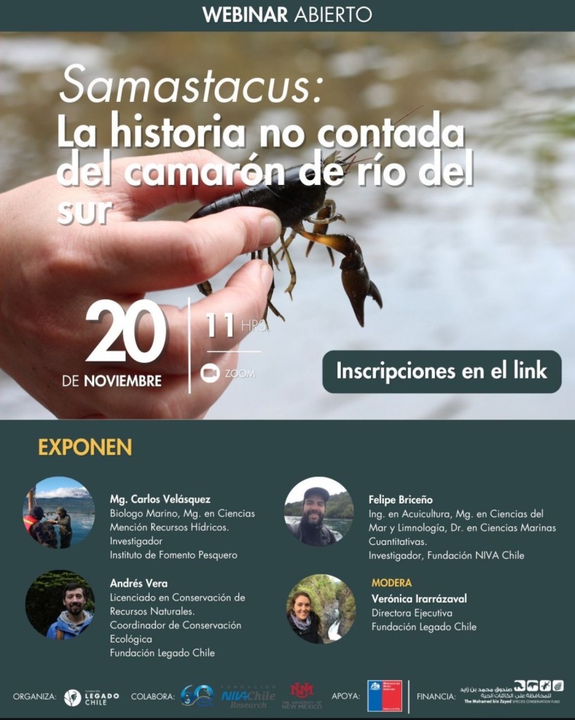 Webinar Abierto: Samastacus, La Historia no Contada del Camarón de Río del Sur&nbsp;!
