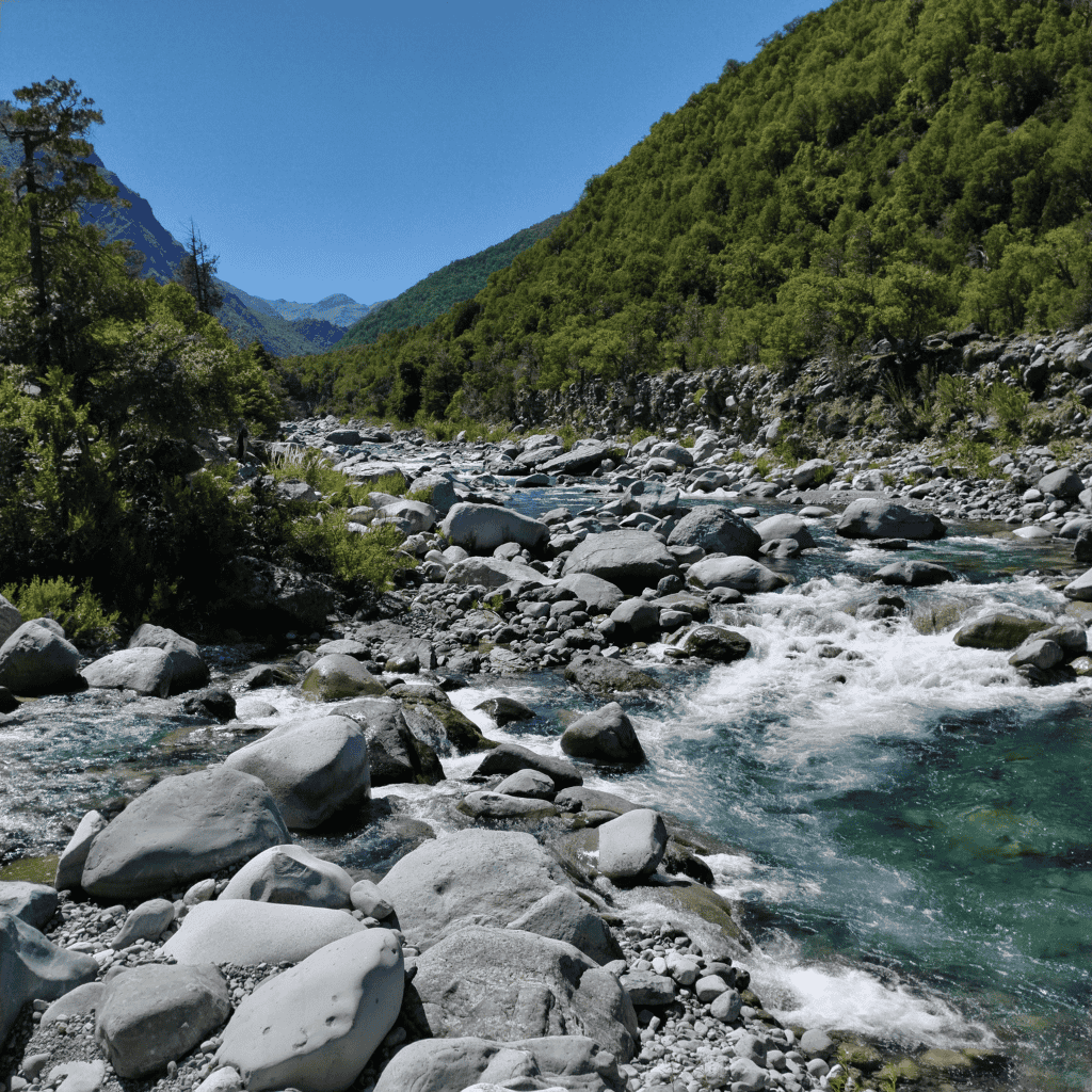 Declaración Pública del Parque Cordillera Los Quemados sobre el Uso del Fuego por Parte de Arrieros en el Santuario de la Naturaleza Cajón del Río&nbsp;Achibueno
