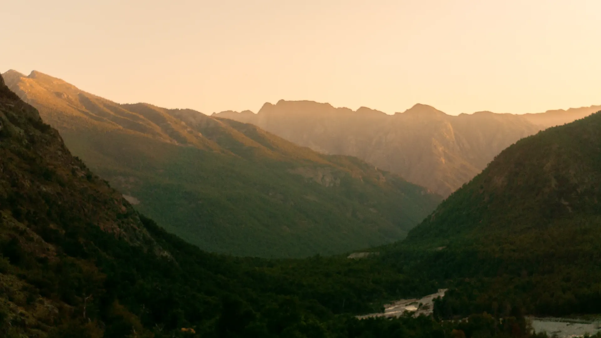 Cordillera y bosque del valle de Las Ánimas, cuenca alta del Achibueno